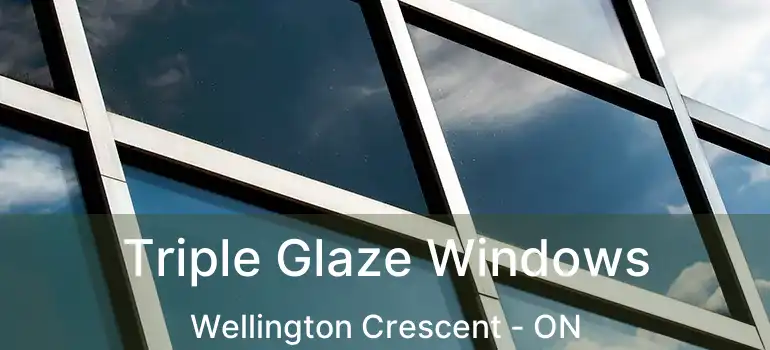  Triple Glaze Windows Wellington Crescent - ON