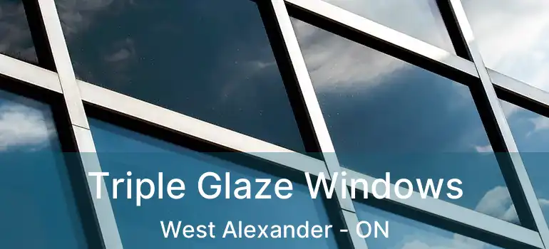  Triple Glaze Windows West Alexander - ON