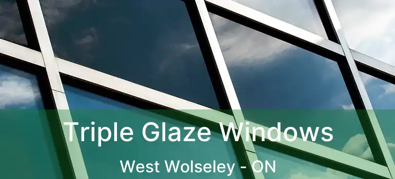  Triple Glaze Windows West Wolseley - ON