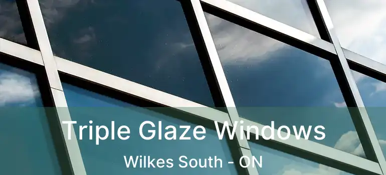  Triple Glaze Windows Wilkes South - ON