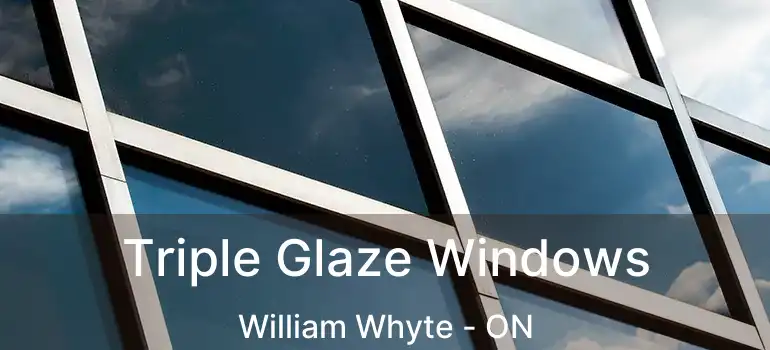  Triple Glaze Windows William Whyte - ON