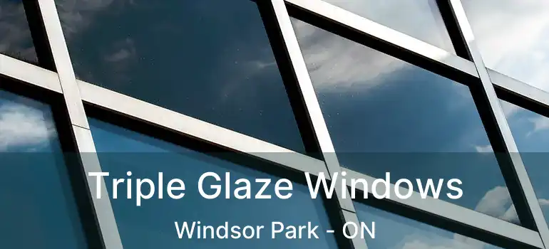  Triple Glaze Windows Windsor Park - ON