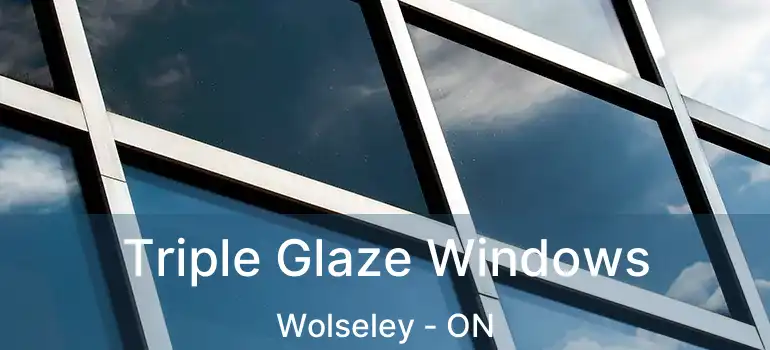  Triple Glaze Windows Wolseley - ON