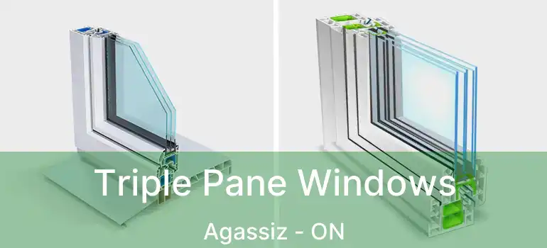  Triple Pane Windows Agassiz - ON