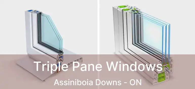 Triple Pane Windows Assiniboia Downs - ON