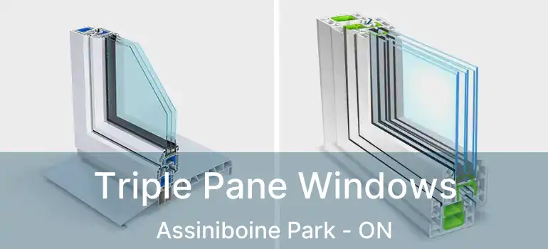  Triple Pane Windows Assiniboine Park - ON