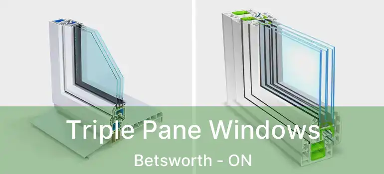  Triple Pane Windows Betsworth - ON