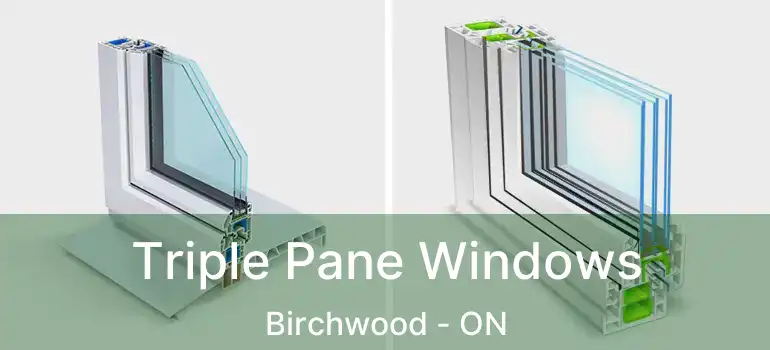  Triple Pane Windows Birchwood - ON
