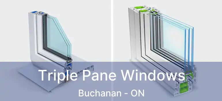  Triple Pane Windows Buchanan - ON