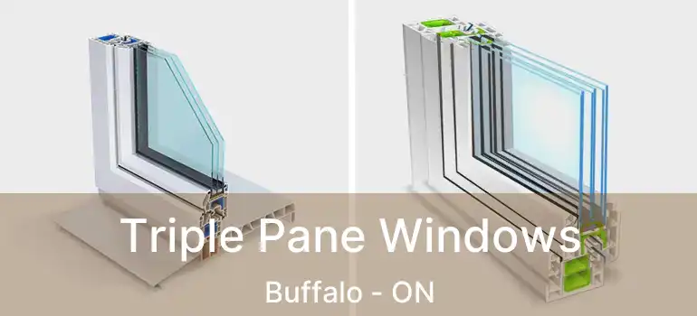  Triple Pane Windows Buffalo - ON