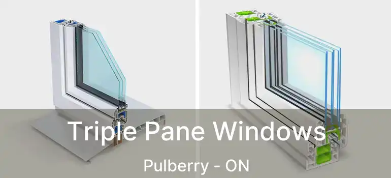  Triple Pane Windows Pulberry - ON