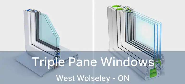  Triple Pane Windows West Wolseley - ON