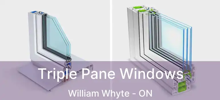  Triple Pane Windows William Whyte - ON