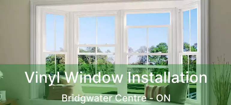  Vinyl Window Installation Bridgwater Centre - ON