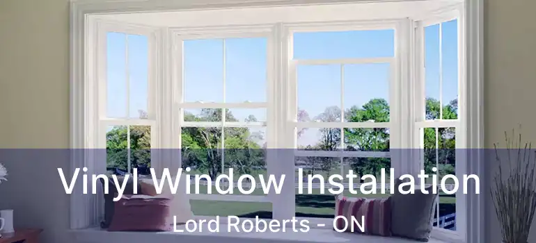  Vinyl Window Installation Lord Roberts - ON