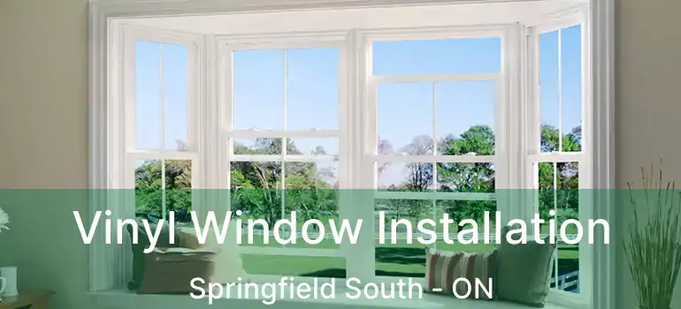  Vinyl Window Installation Springfield South - ON