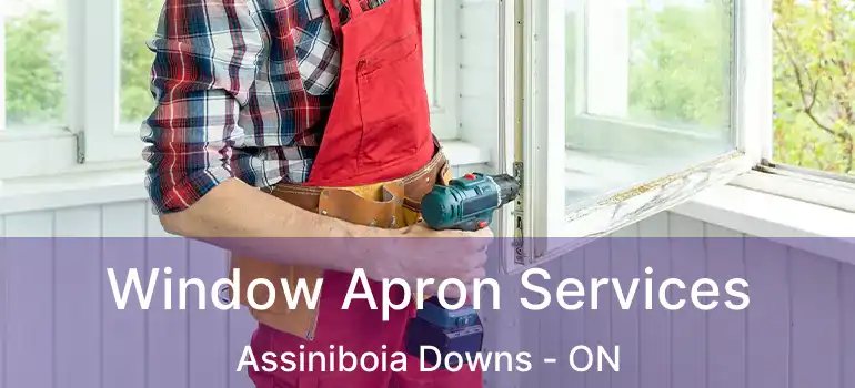  Window Apron Services Assiniboia Downs - ON