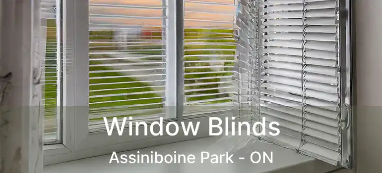  Window Blinds Assiniboine Park - ON