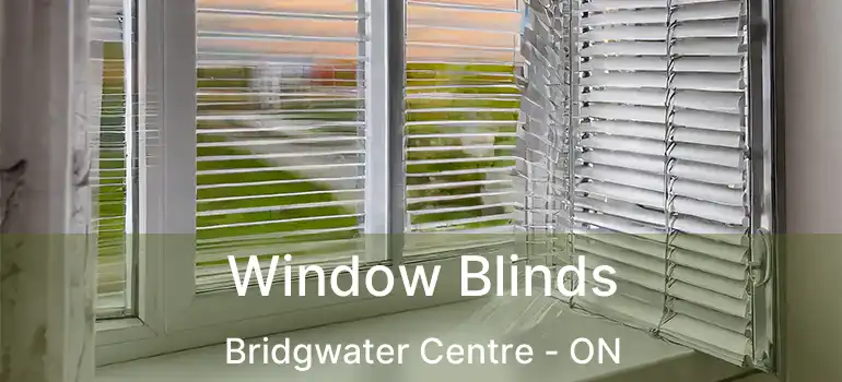  Window Blinds Bridgwater Centre - ON