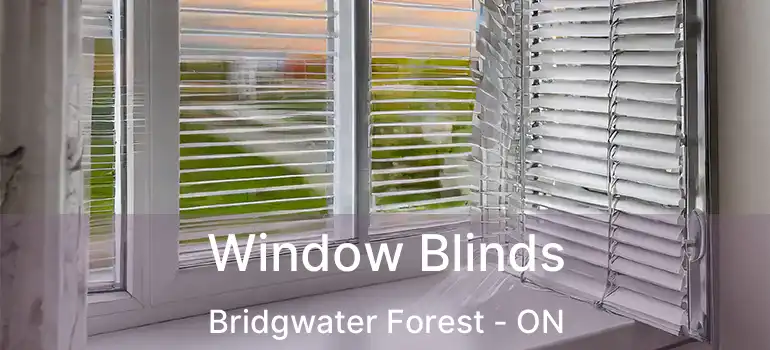  Window Blinds Bridgwater Forest - ON
