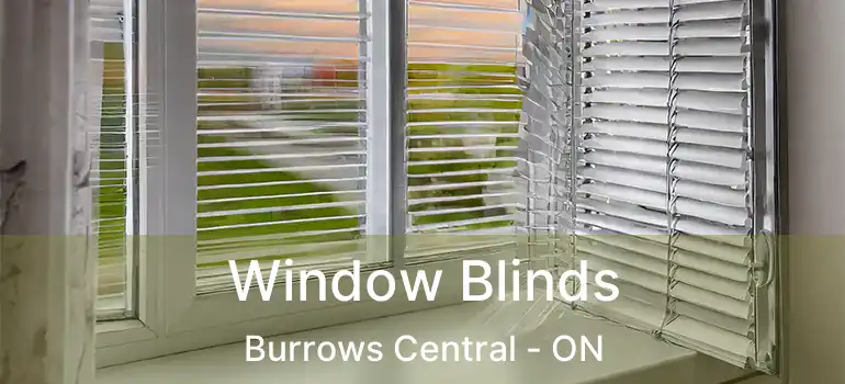  Window Blinds Burrows Central - ON