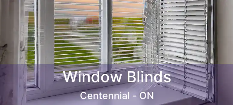  Window Blinds Centennial - ON