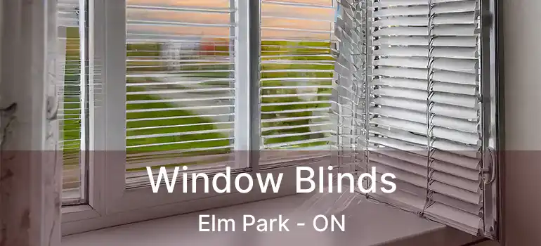  Window Blinds Elm Park - ON