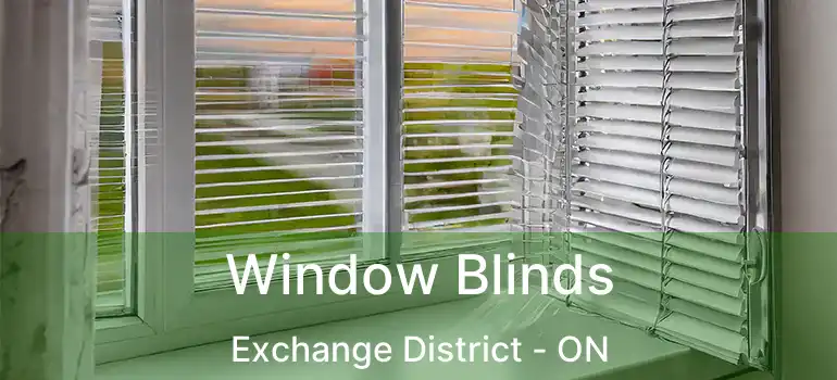  Window Blinds Exchange District - ON