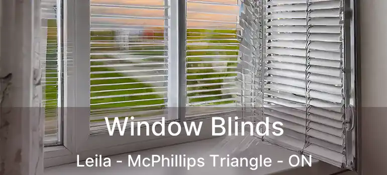  Window Blinds Leila - McPhillips Triangle - ON