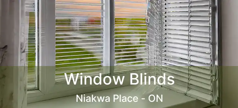  Window Blinds Niakwa Place - ON