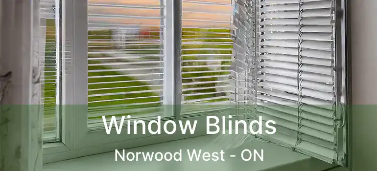  Window Blinds Norwood West - ON