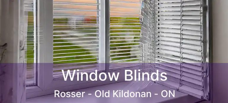  Window Blinds Rosser - Old Kildonan - ON
