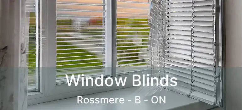  Window Blinds Rossmere - B - ON