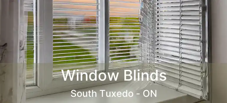  Window Blinds South Tuxedo - ON