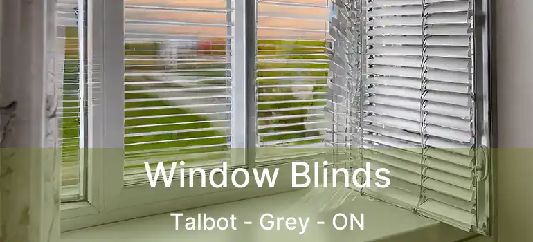  Window Blinds Talbot - Grey - ON