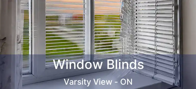  Window Blinds Varsity View - ON