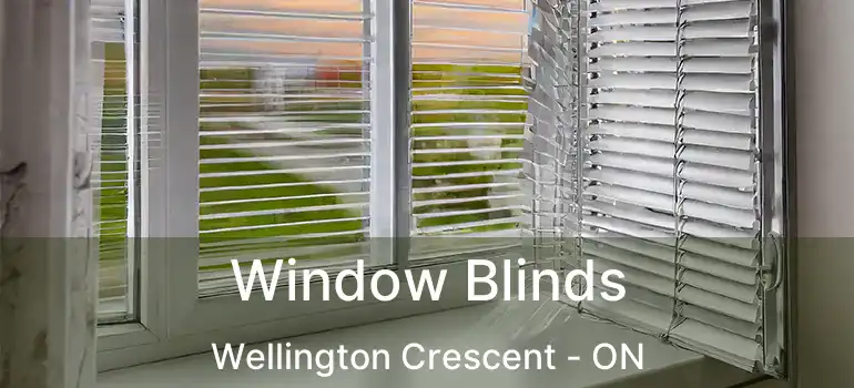  Window Blinds Wellington Crescent - ON