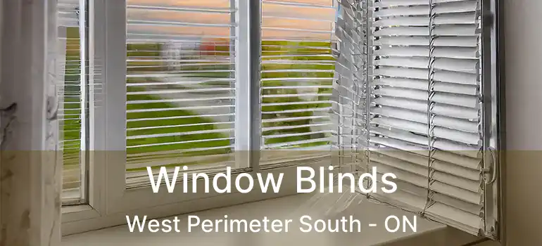  Window Blinds West Perimeter South - ON