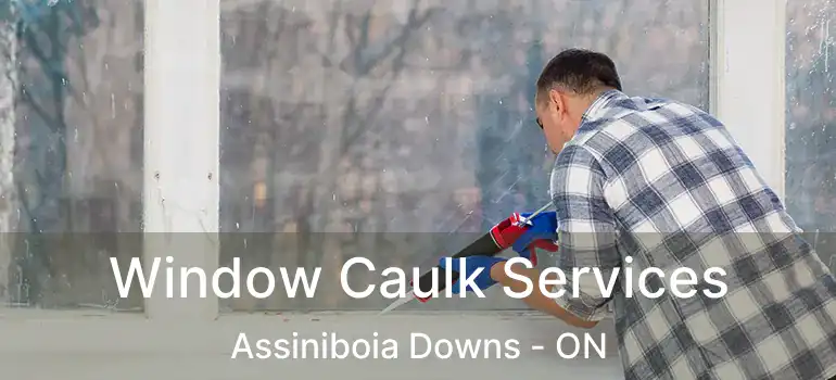  Window Caulk Services Assiniboia Downs - ON