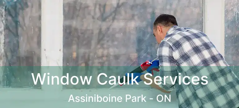 Window Caulk Services Assiniboine Park - ON