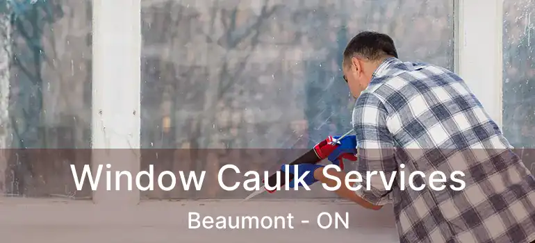  Window Caulk Services Beaumont - ON
