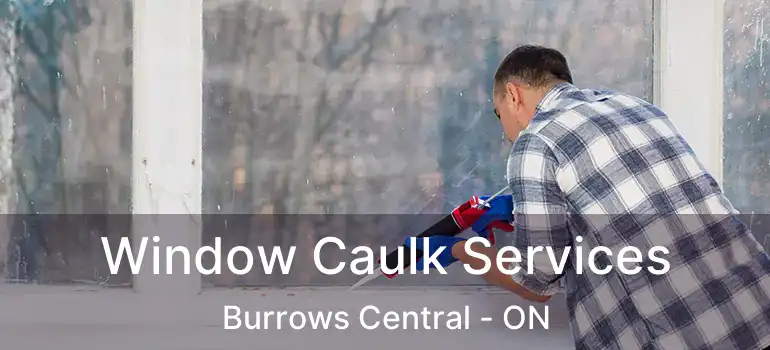  Window Caulk Services Burrows Central - ON