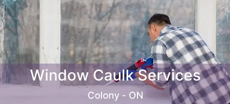  Window Caulk Services Colony - ON