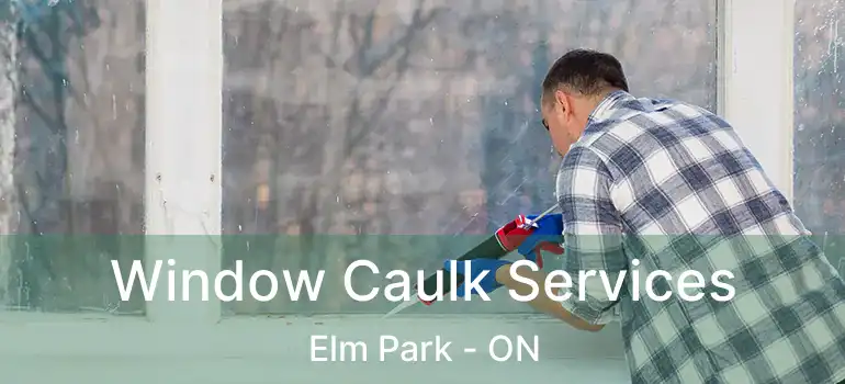  Window Caulk Services Elm Park - ON