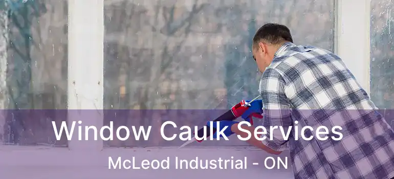  Window Caulk Services McLeod Industrial - ON