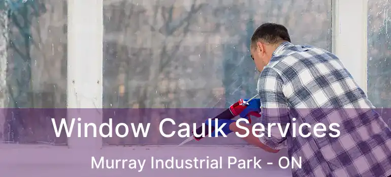  Window Caulk Services Murray Industrial Park - ON