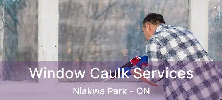  Window Caulk Services Niakwa Park - ON