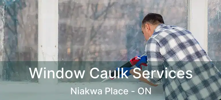  Window Caulk Services Niakwa Place - ON