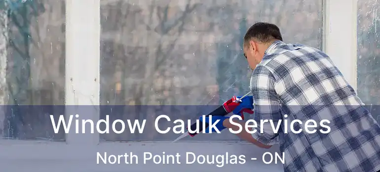  Window Caulk Services North Point Douglas - ON