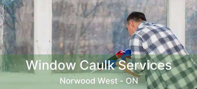  Window Caulk Services Norwood West - ON